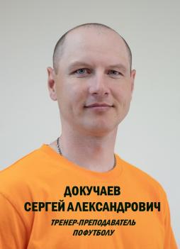 Докучаев Сергей Александрович